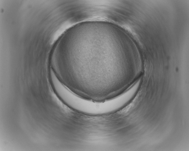 X0000088751422200706141717