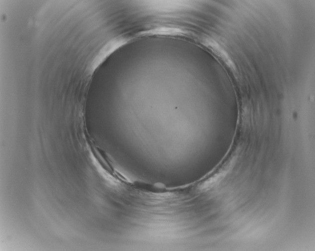 X0000088751425200706141717