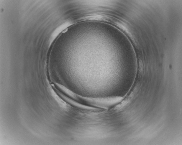 X0000088751426200706141717