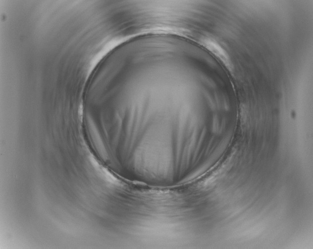 X0000088751428200706141717
