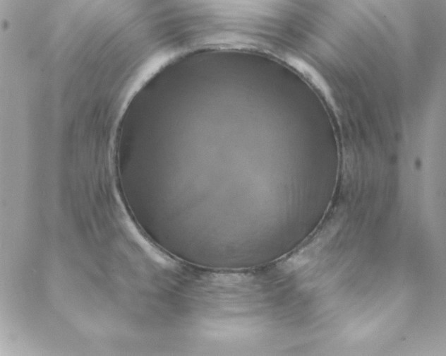 X0000088751429200706141717