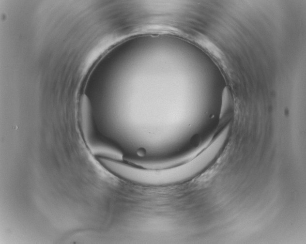 X0000088751430200706141717