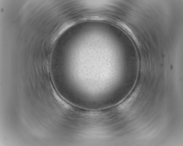 X0000088751433200706141717