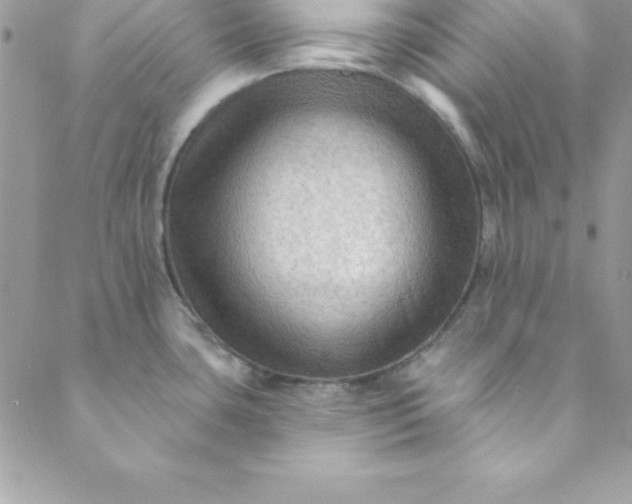 X0000088751435200706141717