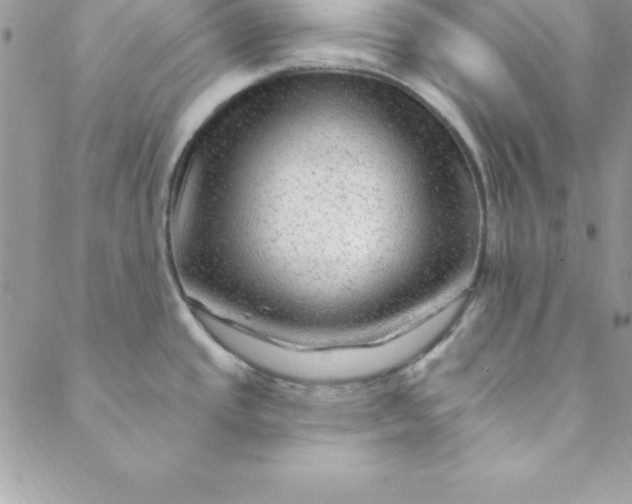 X0000088751437200706141717