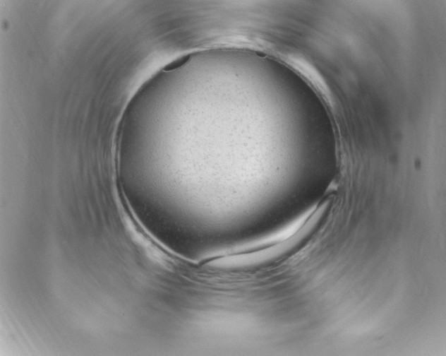 X0000088751439200706141717