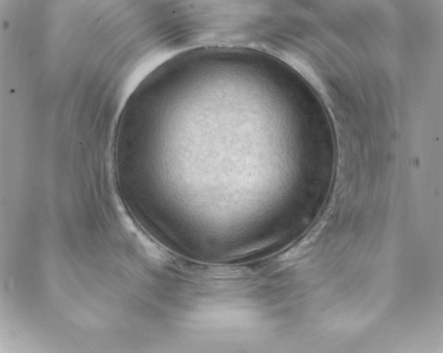 X0000088751440200706141717