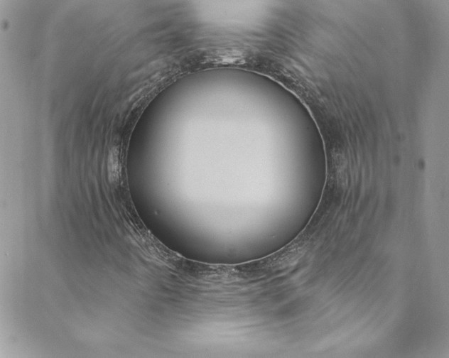 X0000088751442200706141716
