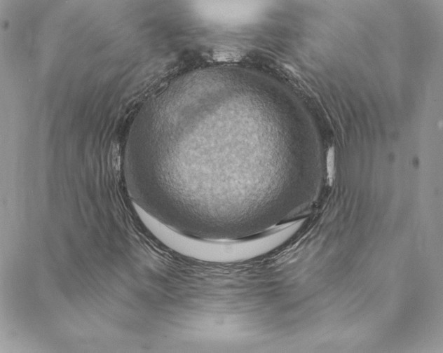 X0000088751443200706141716