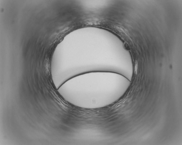 X0000088751444200706141716