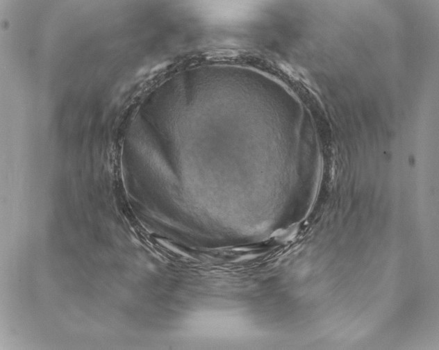 X0000088751445200706141716
