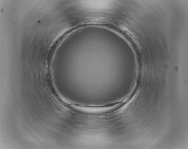 X0000088751449200706141716