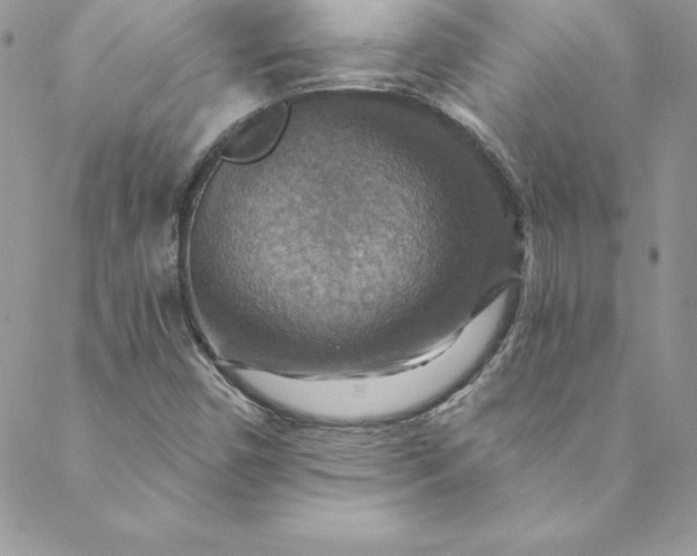 X0000088751450200706141716