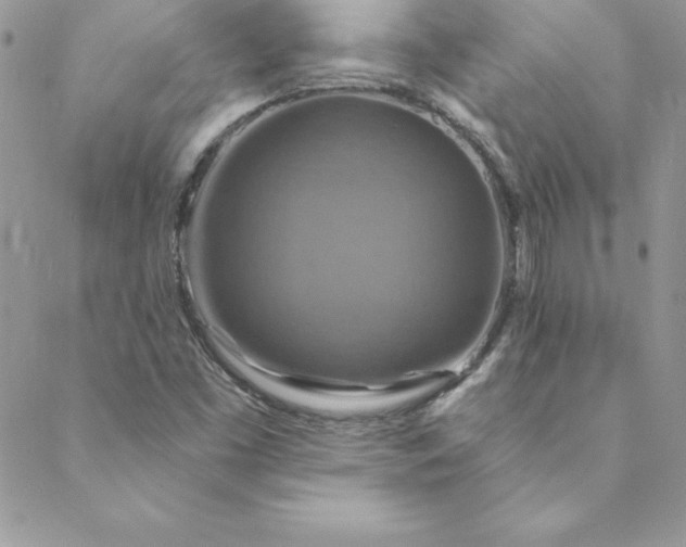 X0000088751453200706141716