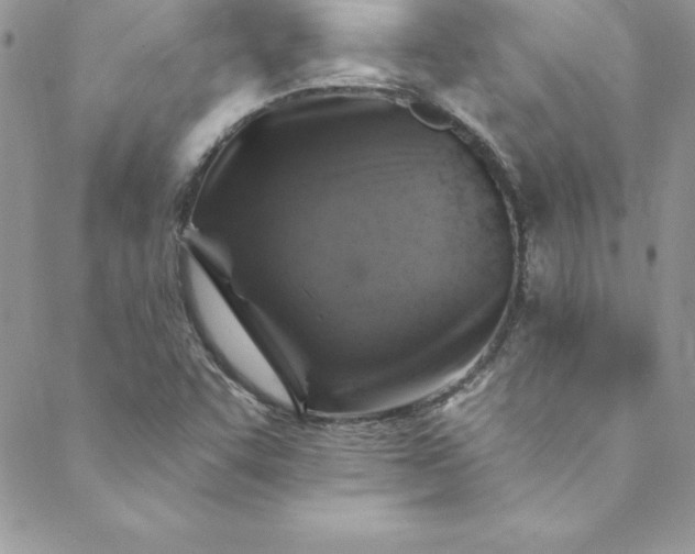 X0000088751455200706141716