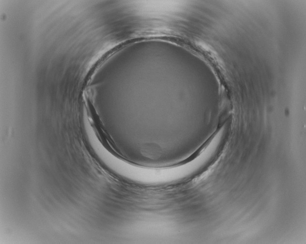 X0000088751457200706141716