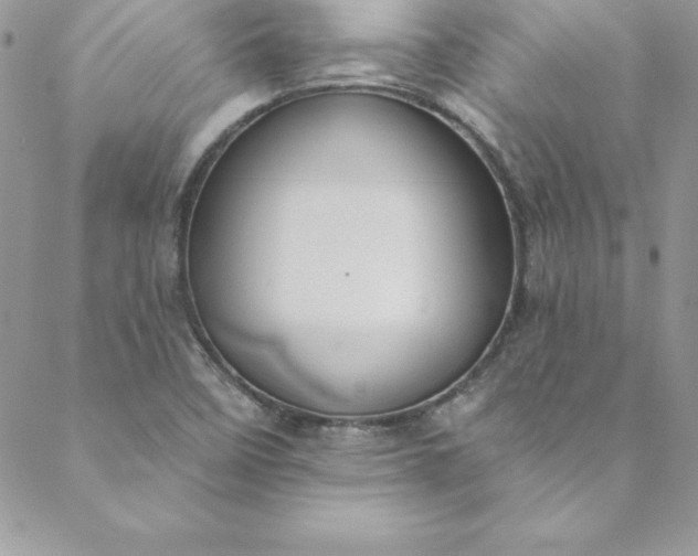 X0000088751458200706141716