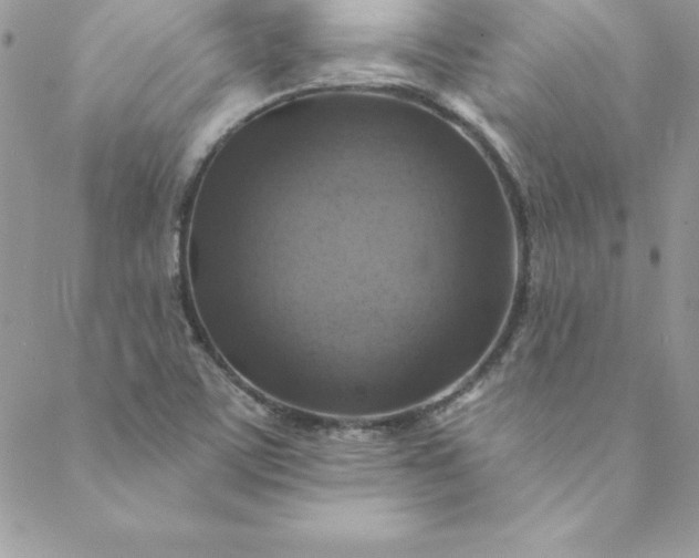 X0000088751459200706141716