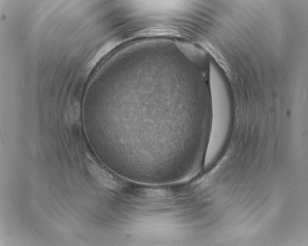 X0000088751465200706141716