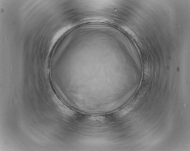 X0000088751466200706141716