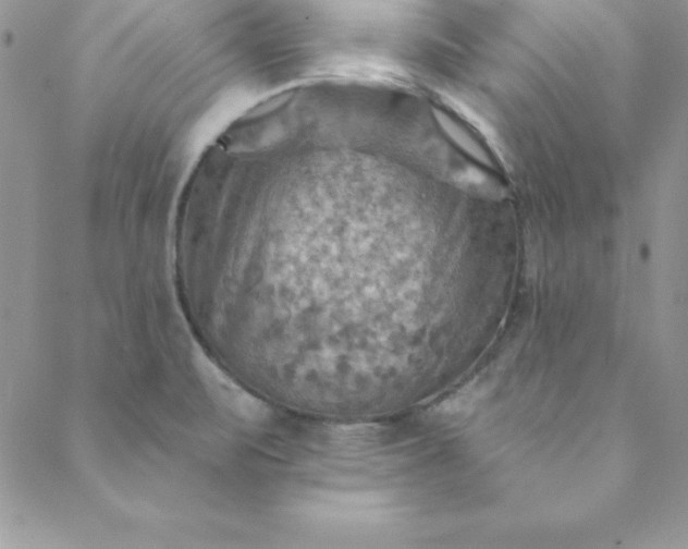 X0000088751471200706141716