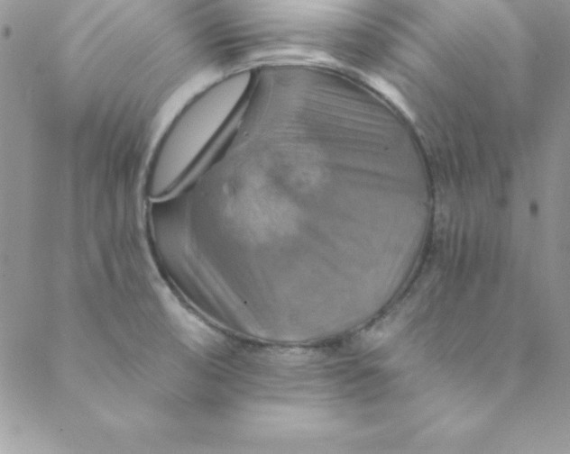 X0000088751474200706141716