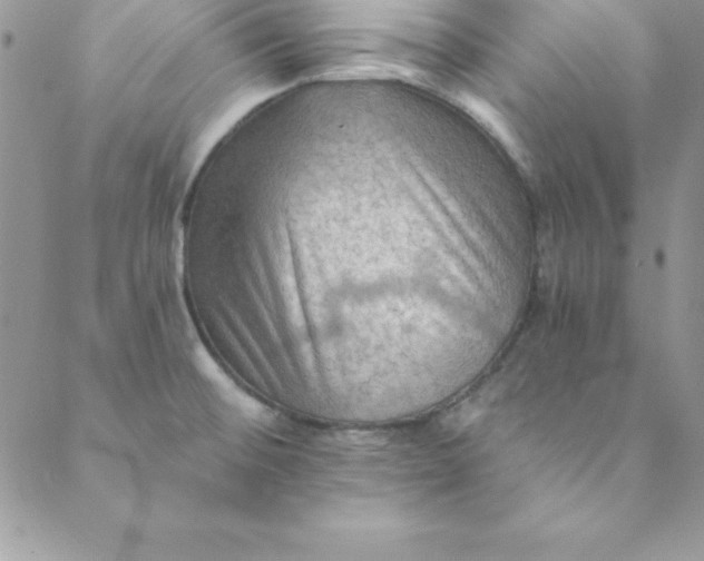 X0000088751476200706141716