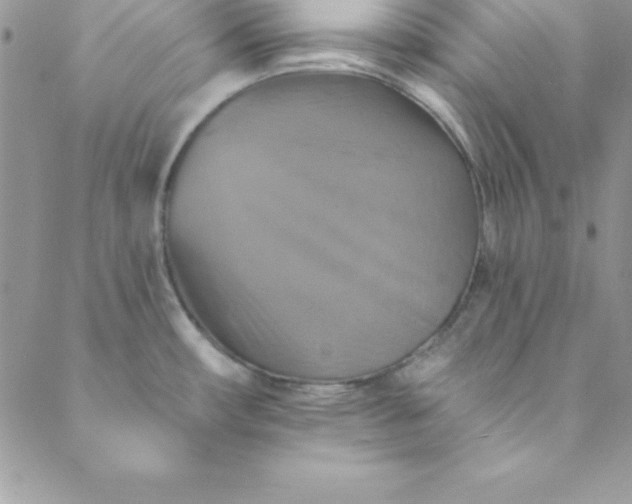 X0000088751482200706141716