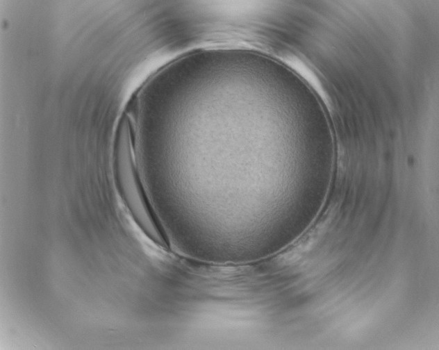 X0000088751485200706141716