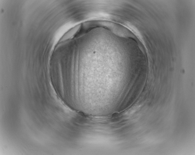 X0000088751488200706141715
