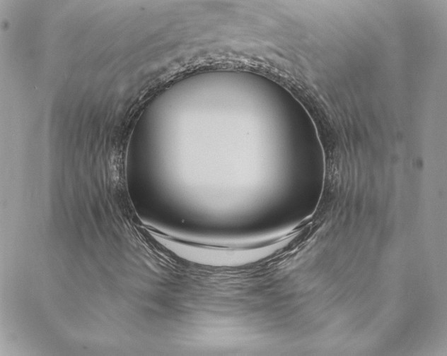X0000088751490200706141715