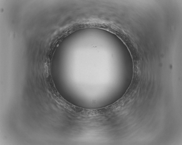 X0000088751493200706141715