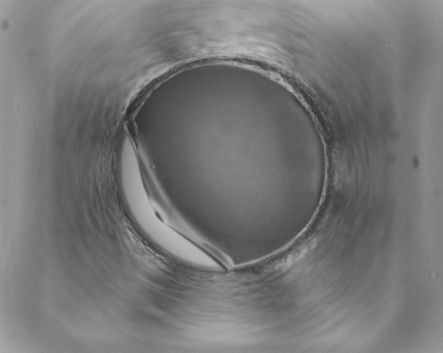 X0000088751497200706141715