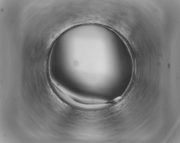X0000088751500200706141715