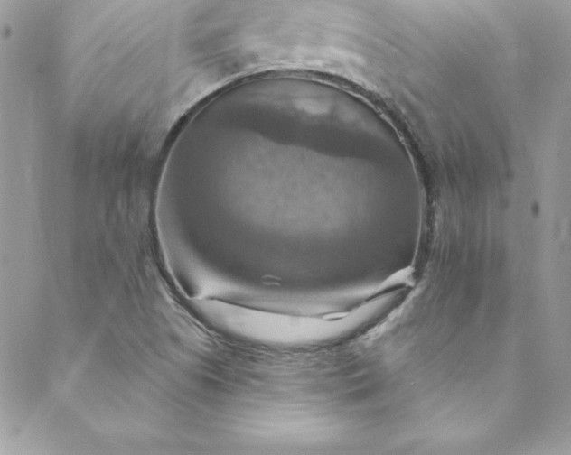 X0000088751505200706141715