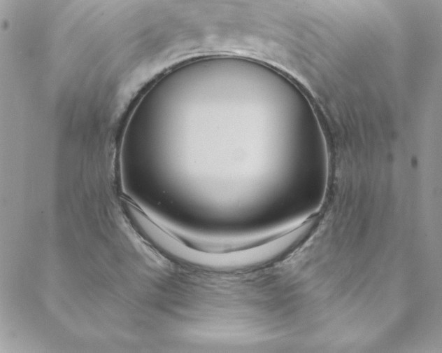 X0000088751507200706141715