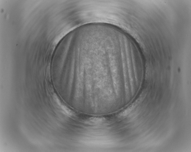 X0000088751513200706141715