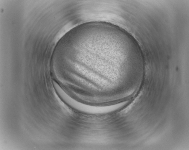 X0000088751521200706141715