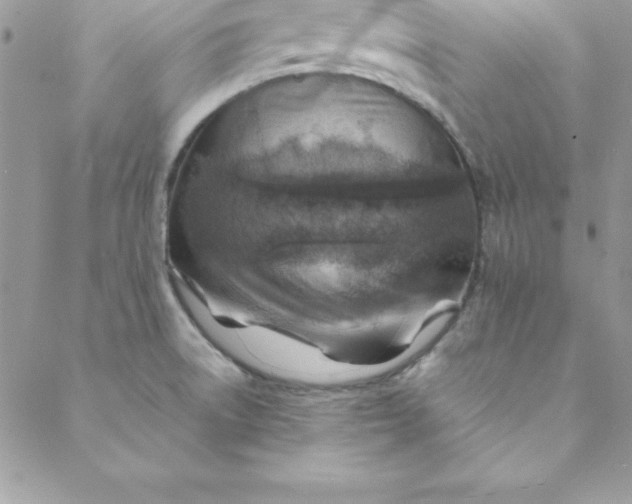 X0000088751522200706141715