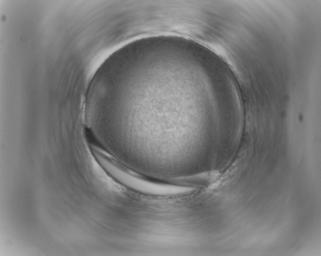 X0000088751524200706141715