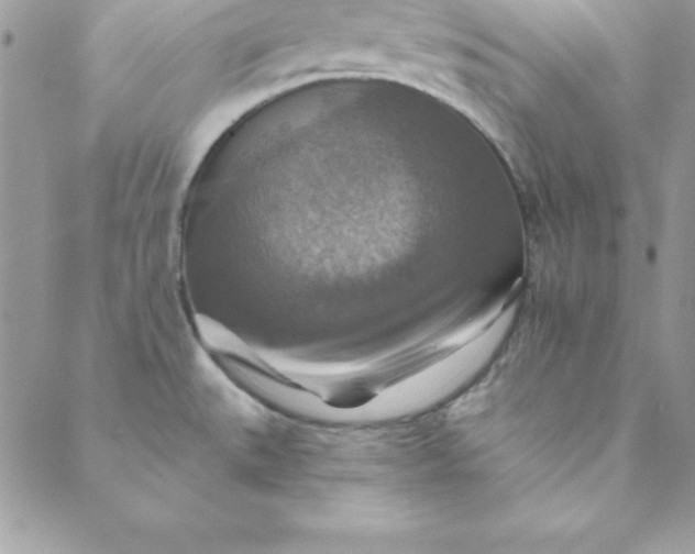 X0000088751527200706141715