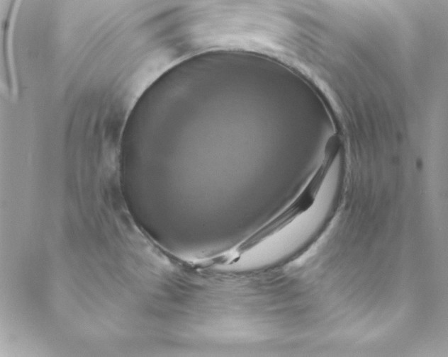 X0000088751529200706141715