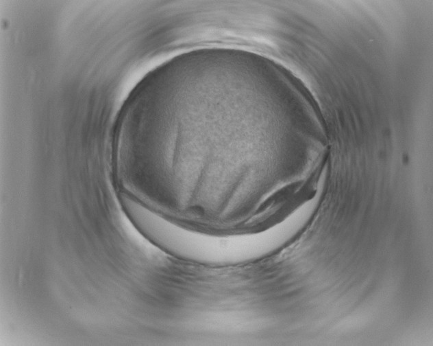 X0000088751531200706141715
