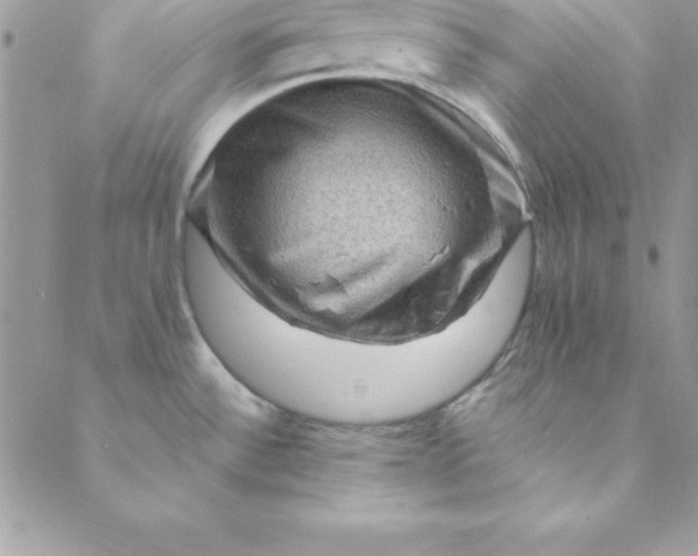 X0000088751532200706141715
