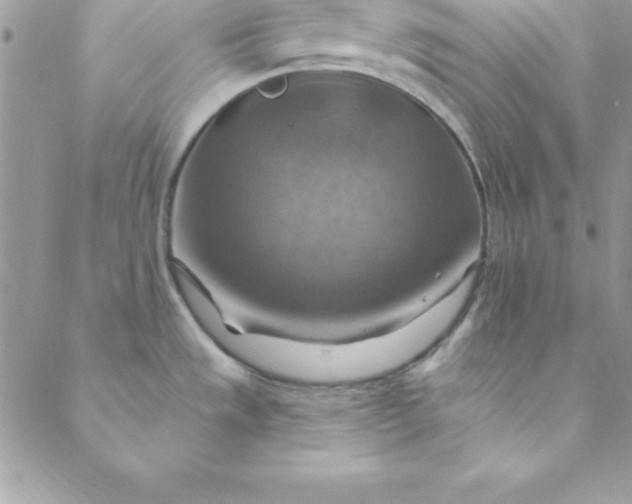 X0000088751533200706141715