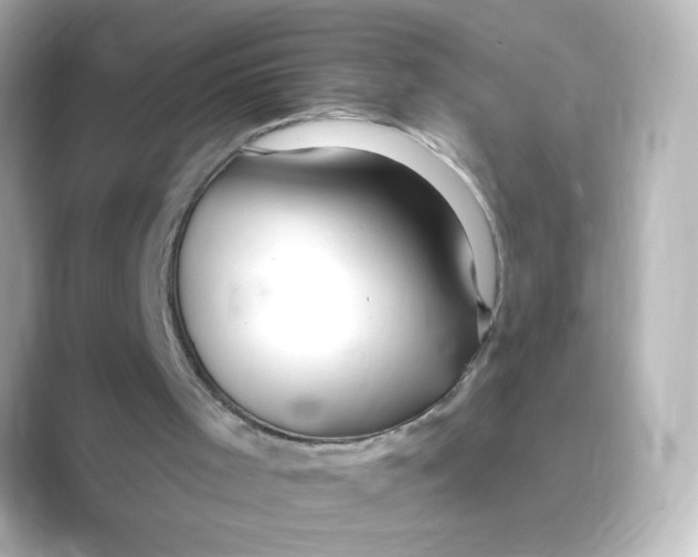 X0000088750001200706212123