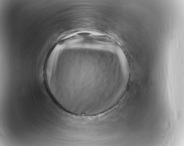 X0000088750002200706212123