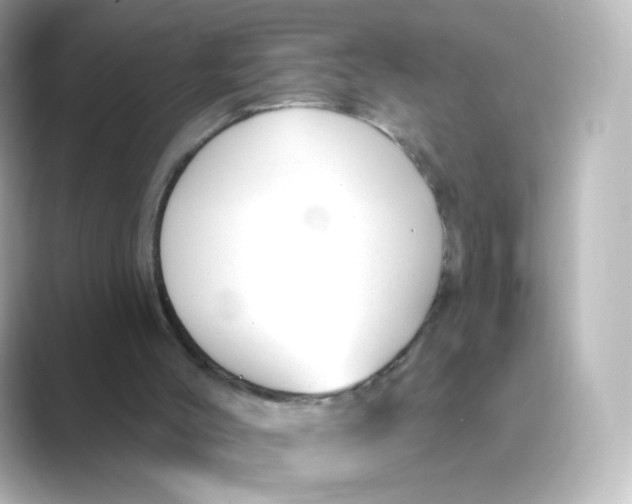 X0000088750004200706212123