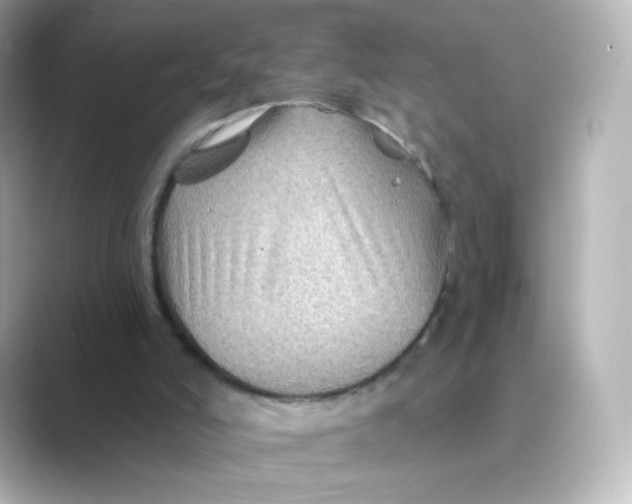 X0000088750006200706212123