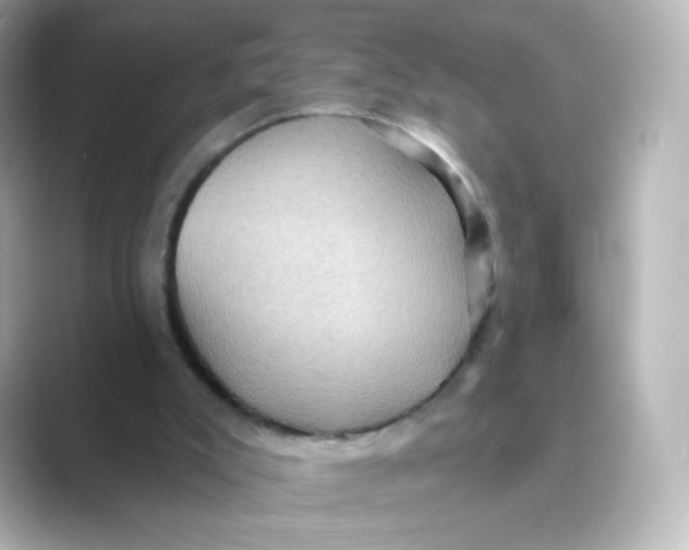 X0000088750007200706212123